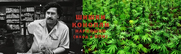 трава Балабаново